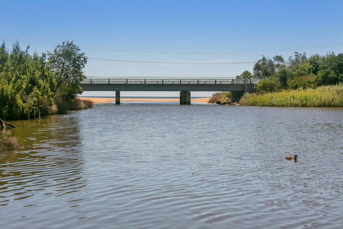 Image of outdoors