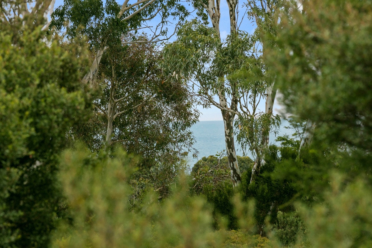 Image of vegetation
