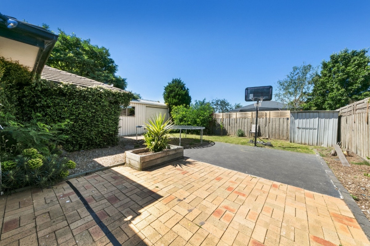 Image of backyard