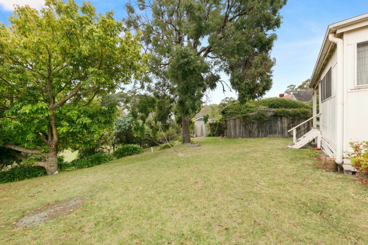 Image of backyard