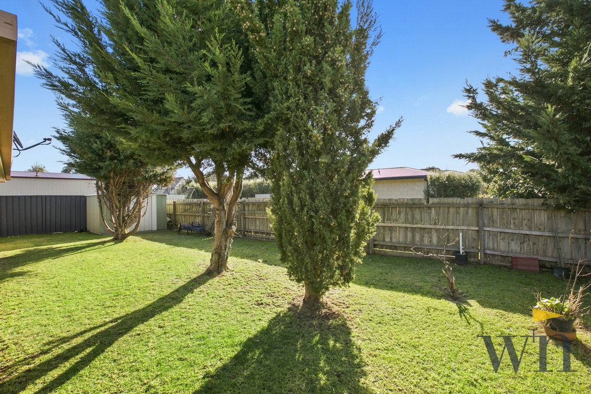 Image of backyard