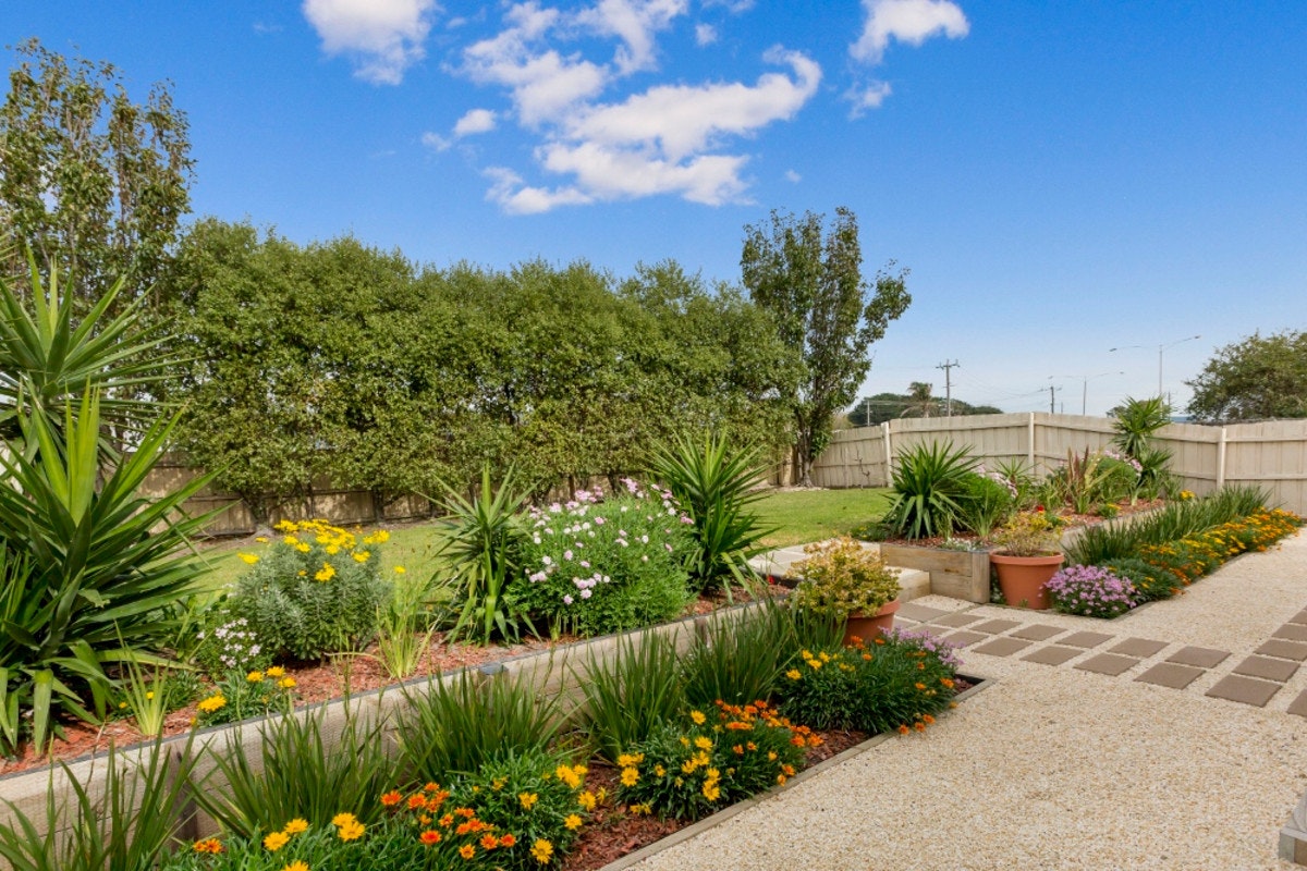 Image of backyard
