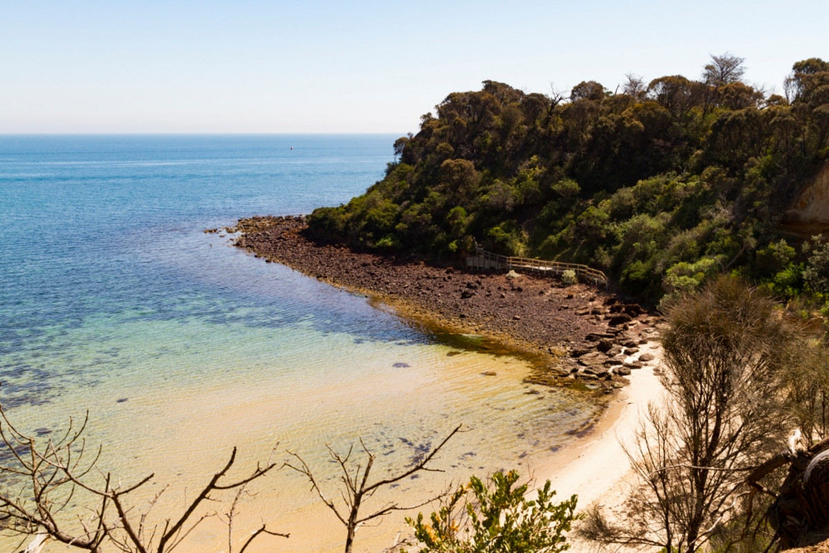 1A Coral Road, Mornington - Thumbnail 8