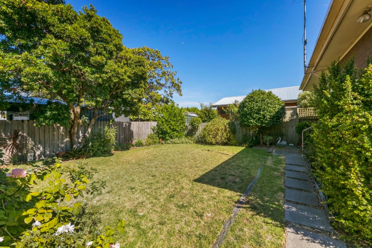 Image of backyard