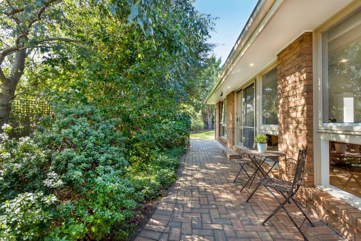 Image of path