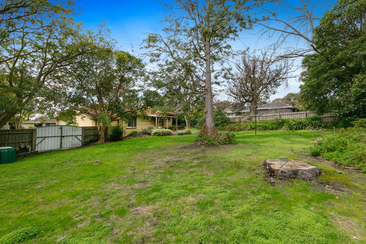 Image of backyard