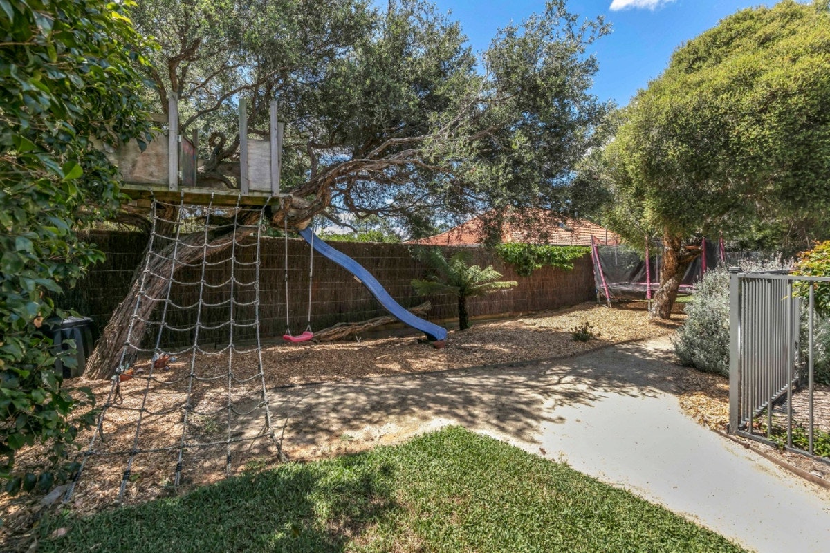 Image of backyard