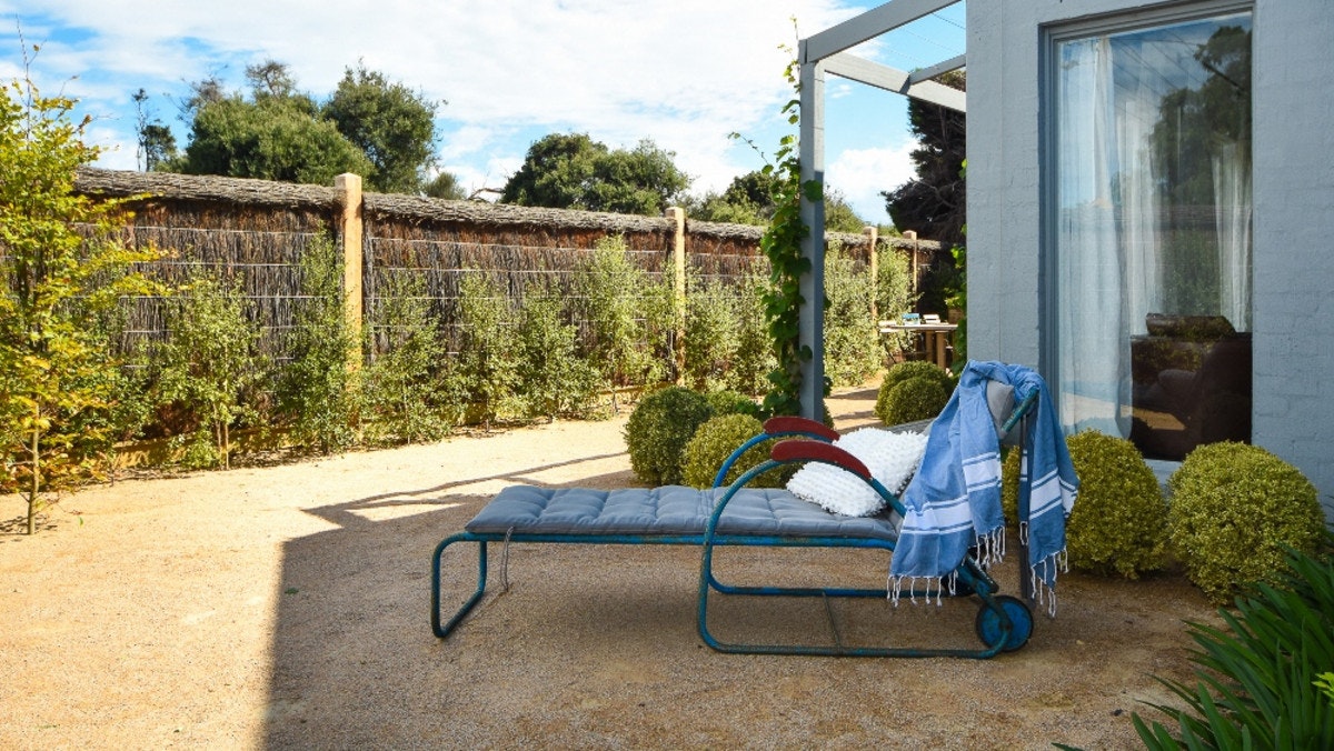 Image of backyard