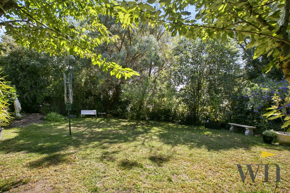 Image of grass