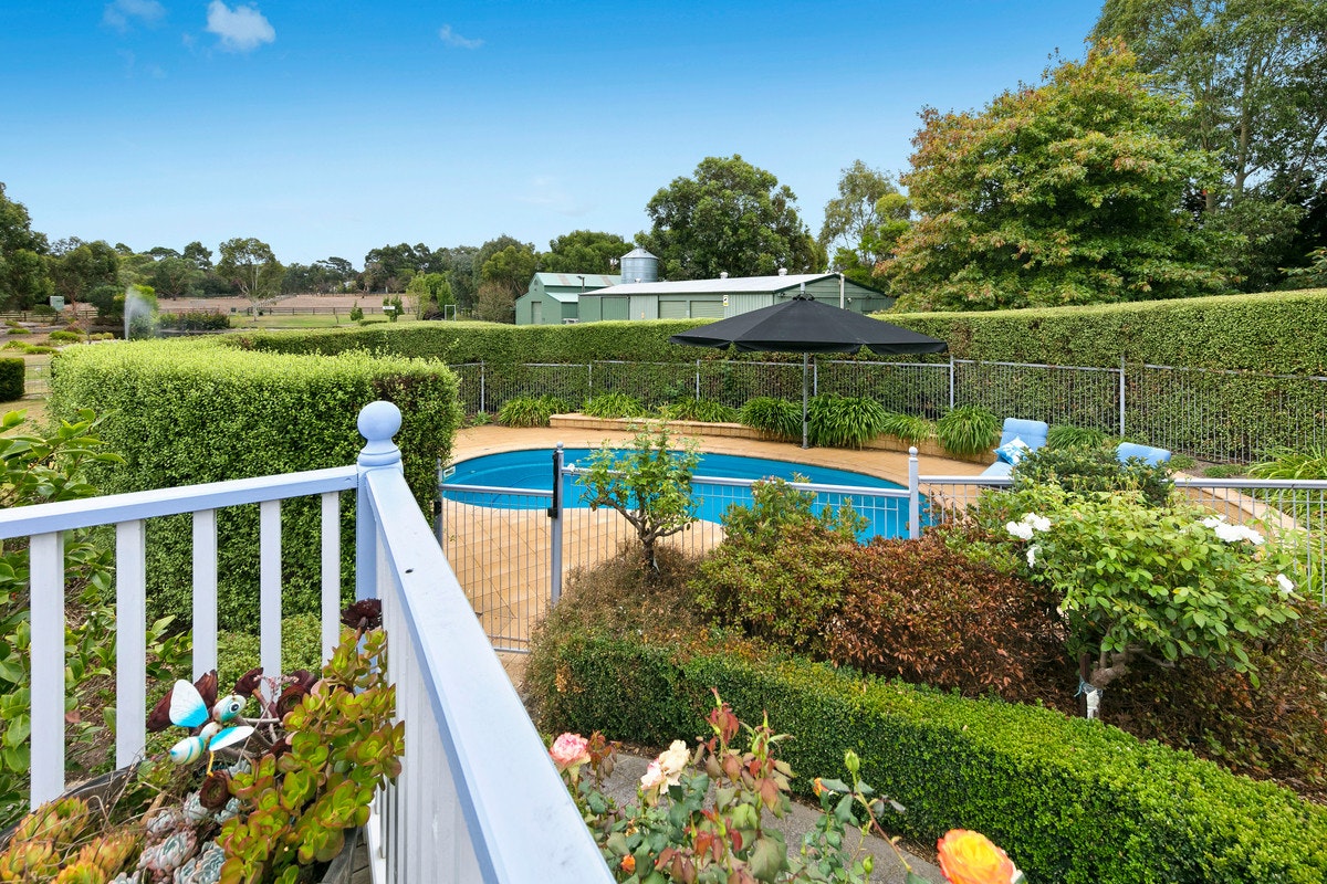 Image of backyard