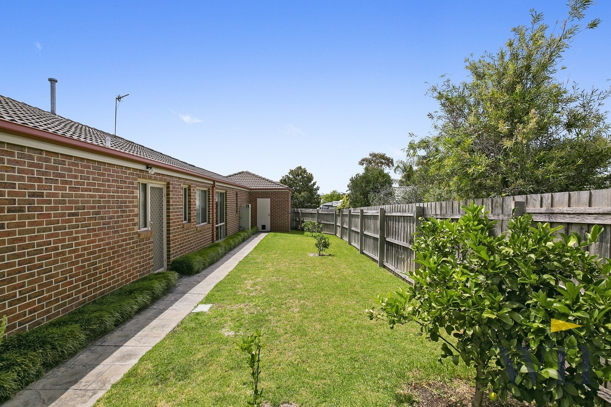 Image of backyard