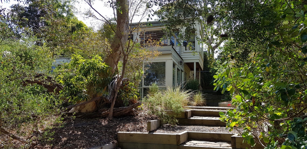 Image of garden