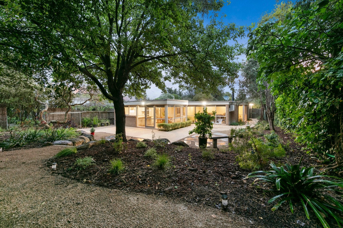 Image of backyard
