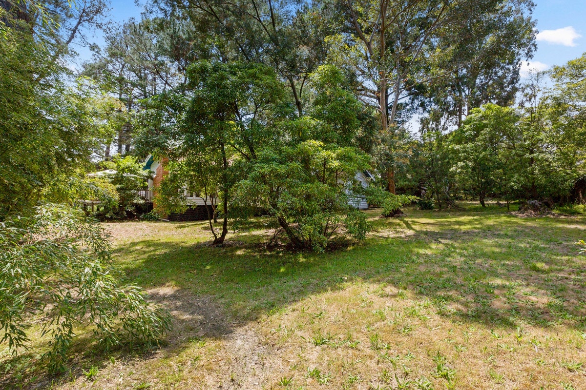 Image of vegetation