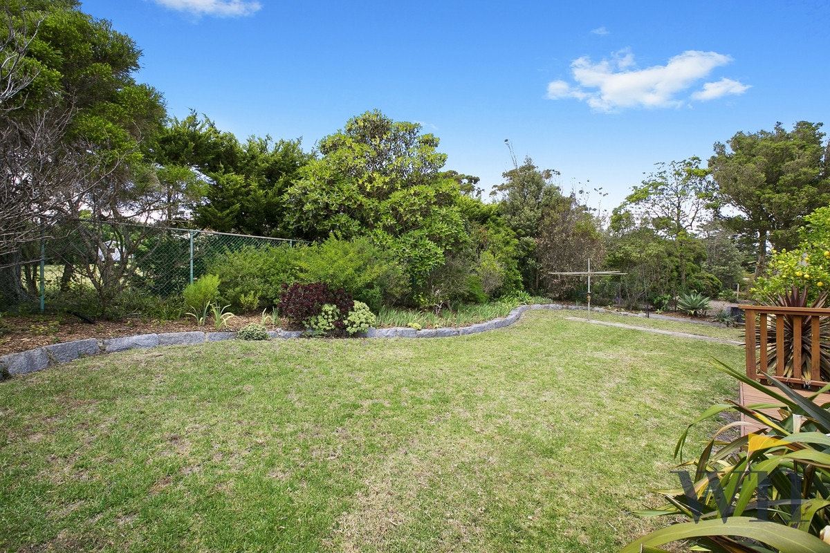 Image of backyard