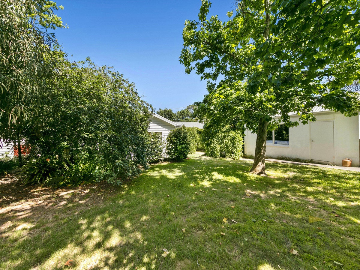 Image of backyard