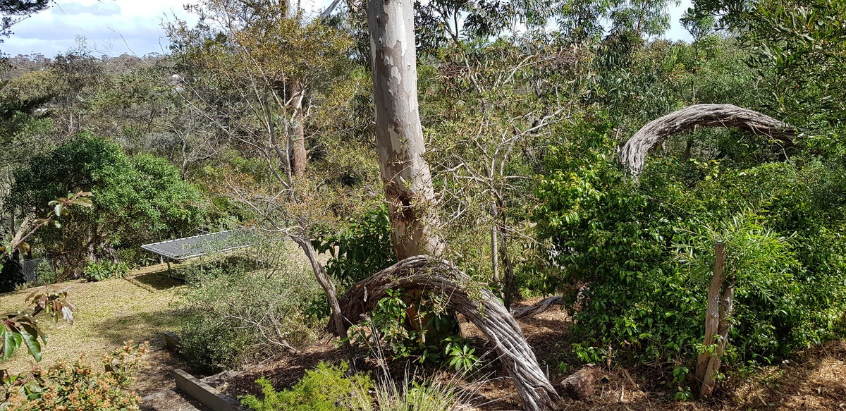 Image of vegetation