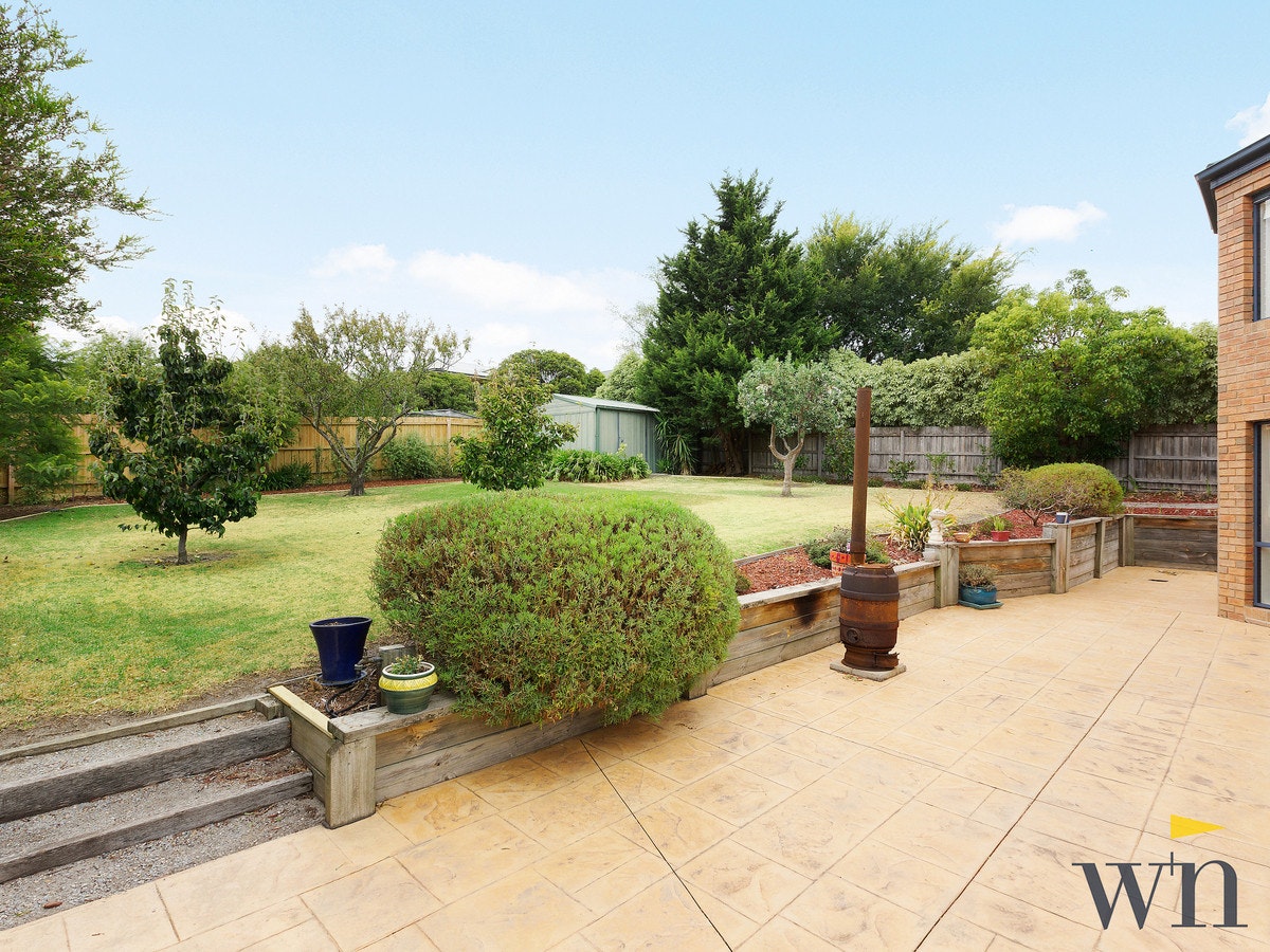 Image of backyard