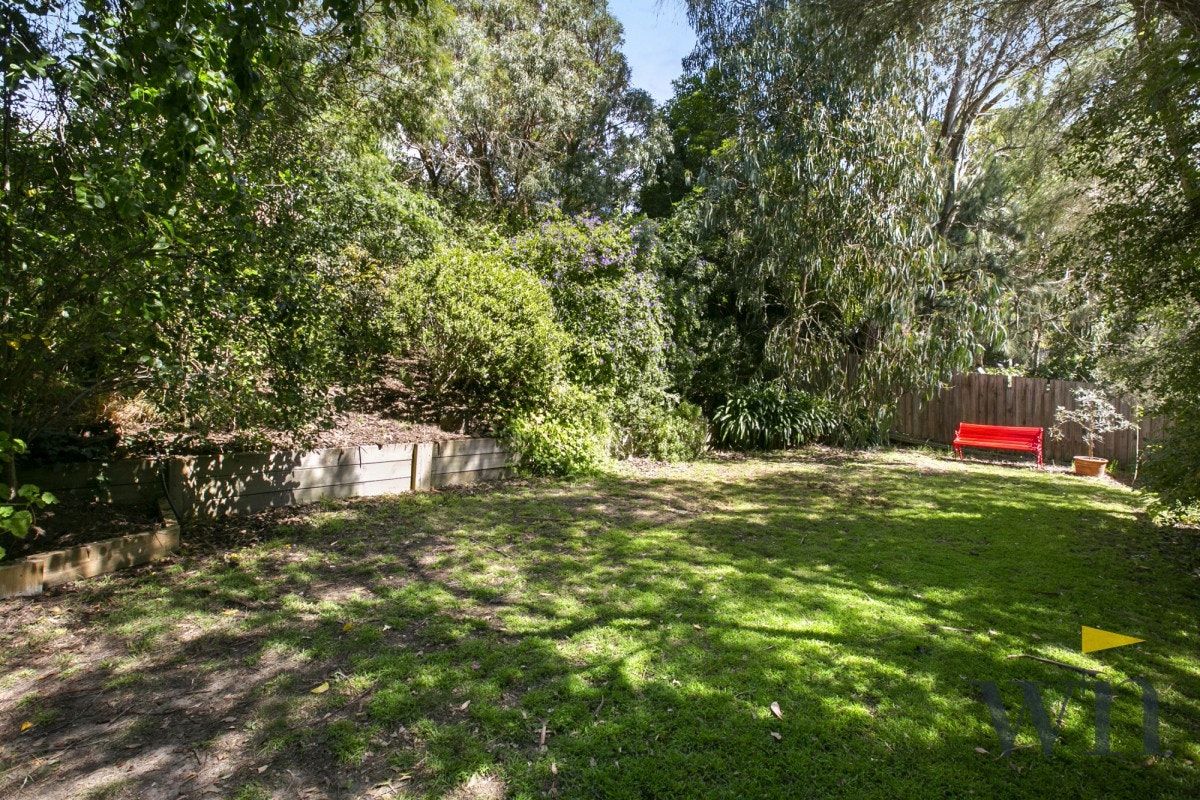 Image of grass