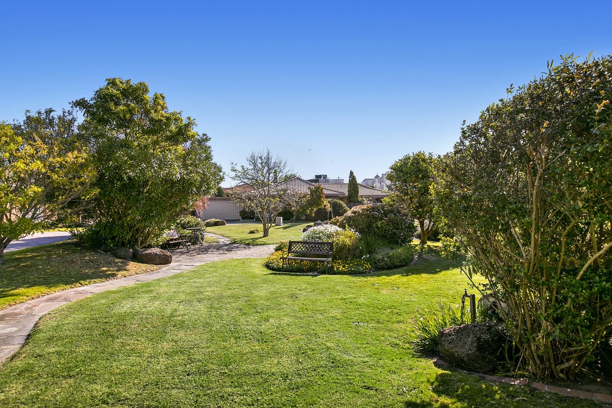Image of grass