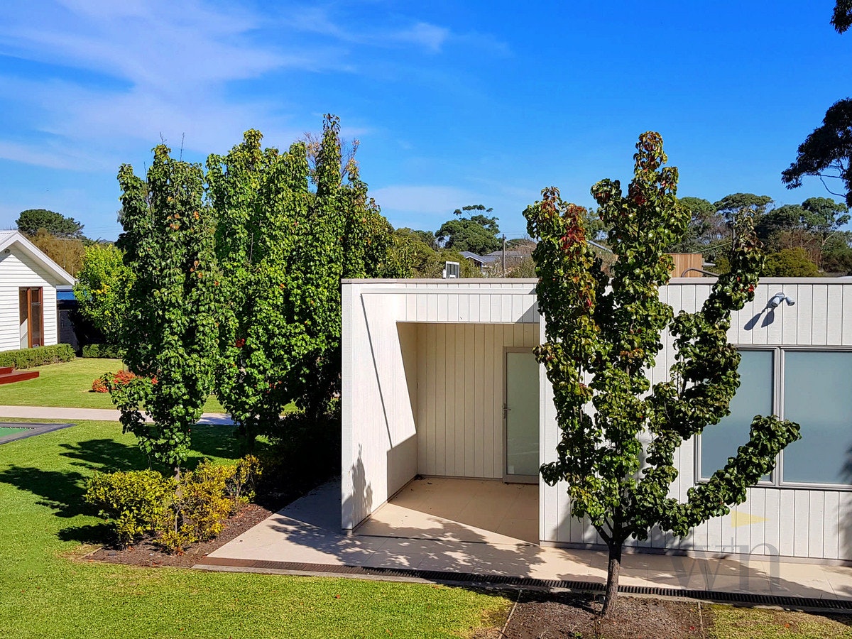 Image of backyard