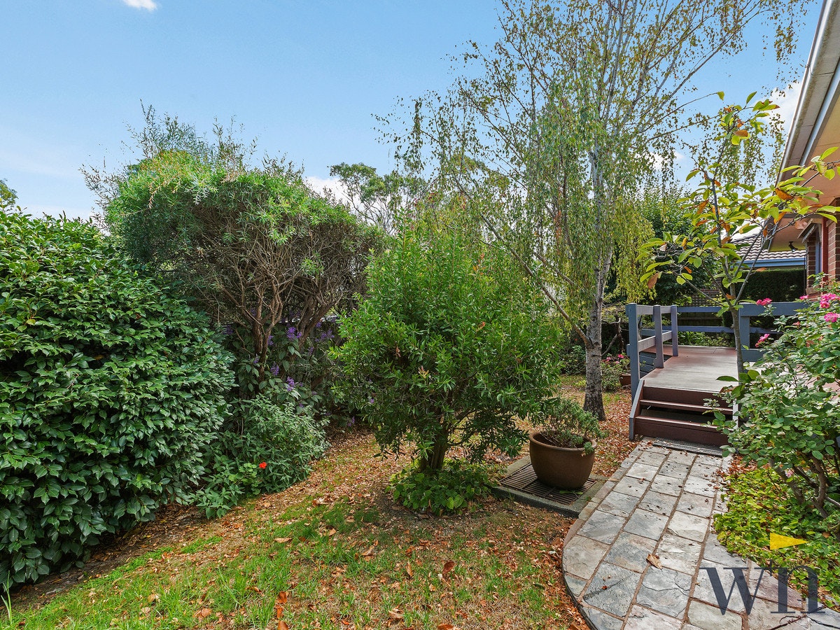 Image of path