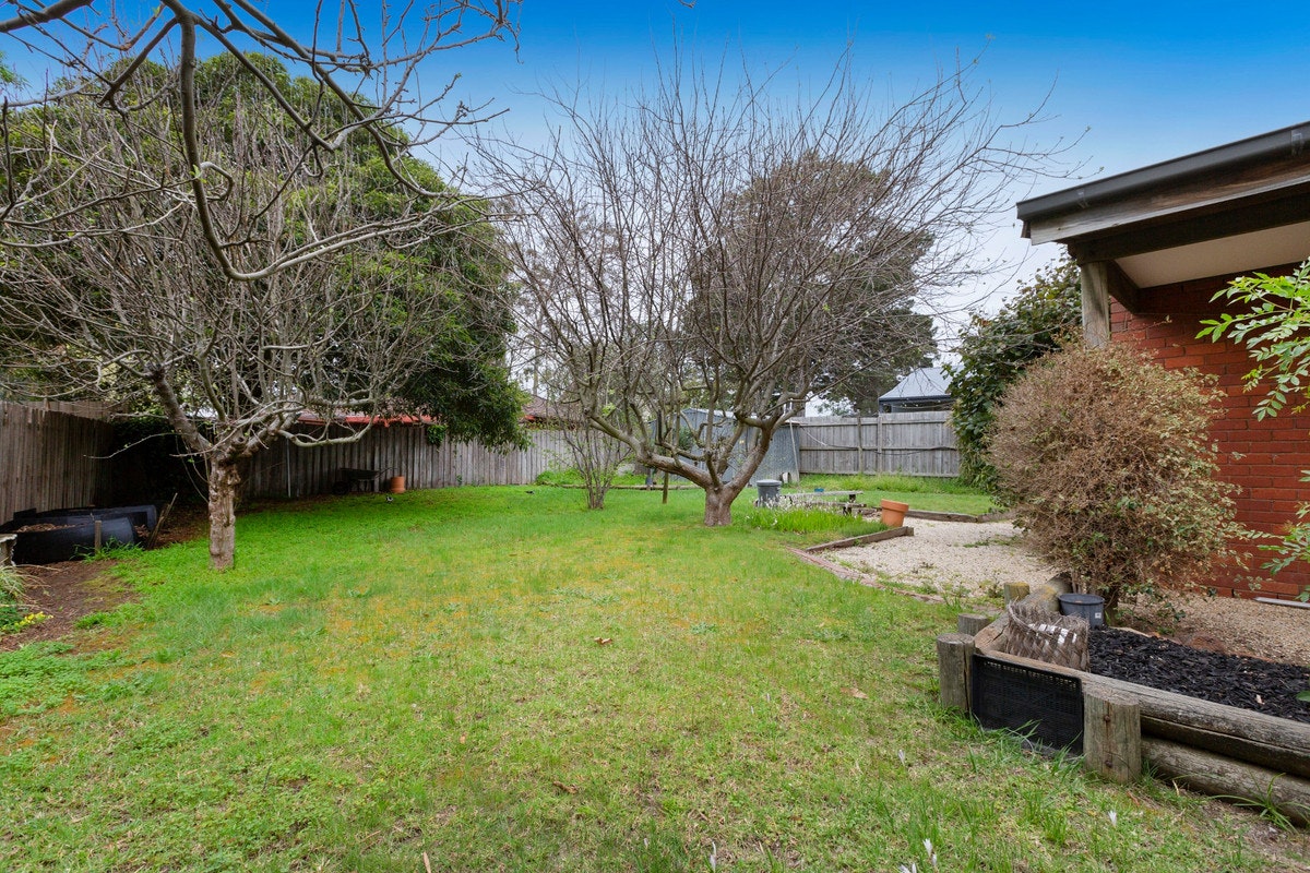 Image of backyard