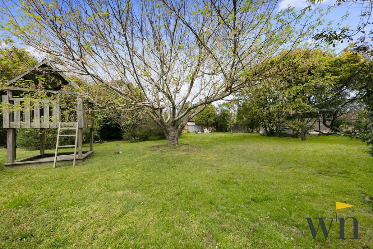 Image of grass