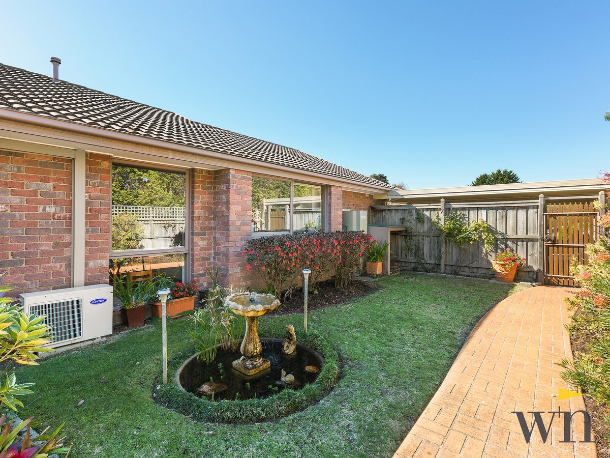 Image of backyard