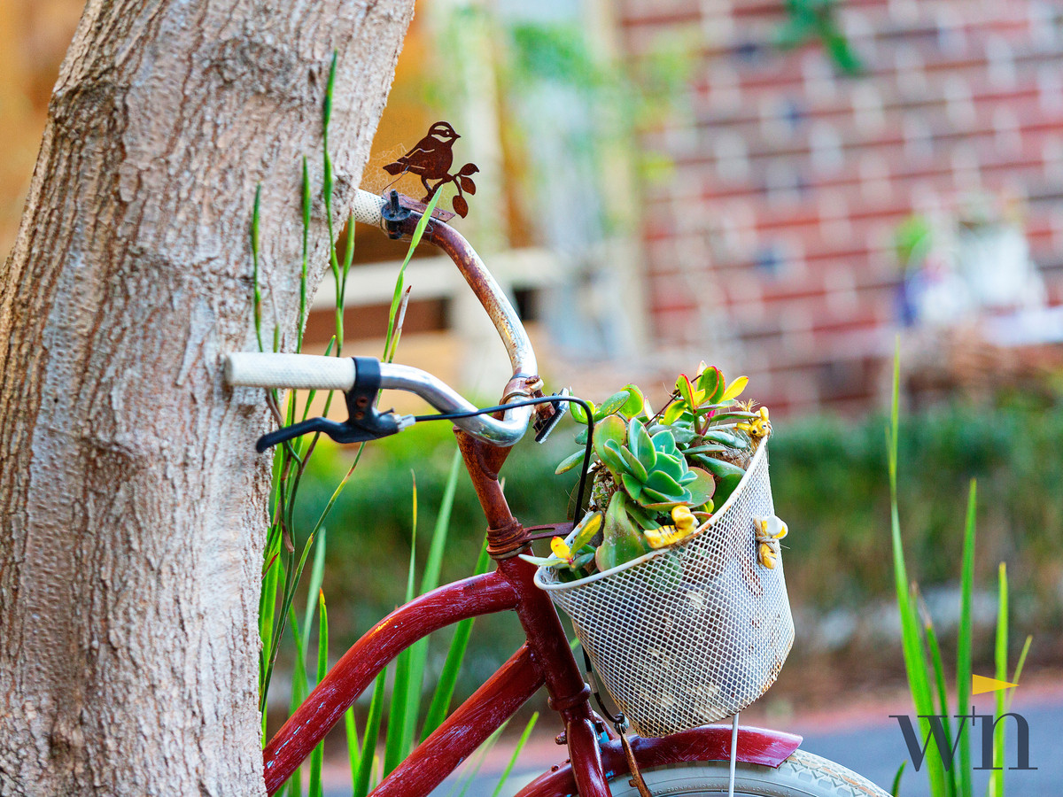 6 Barnett Way, Mount Martha - Thumbnail 2