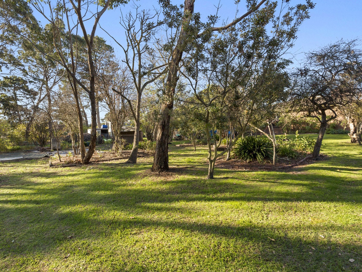 Image of grass