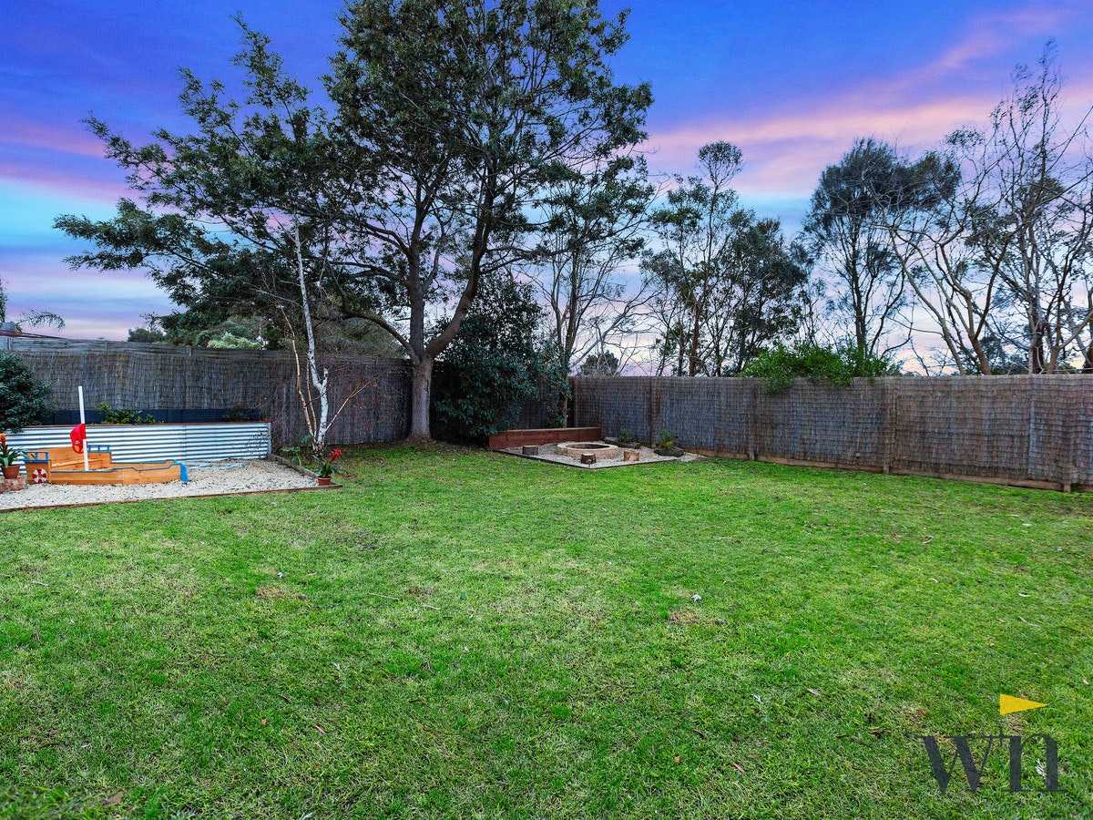 Image of backyard
