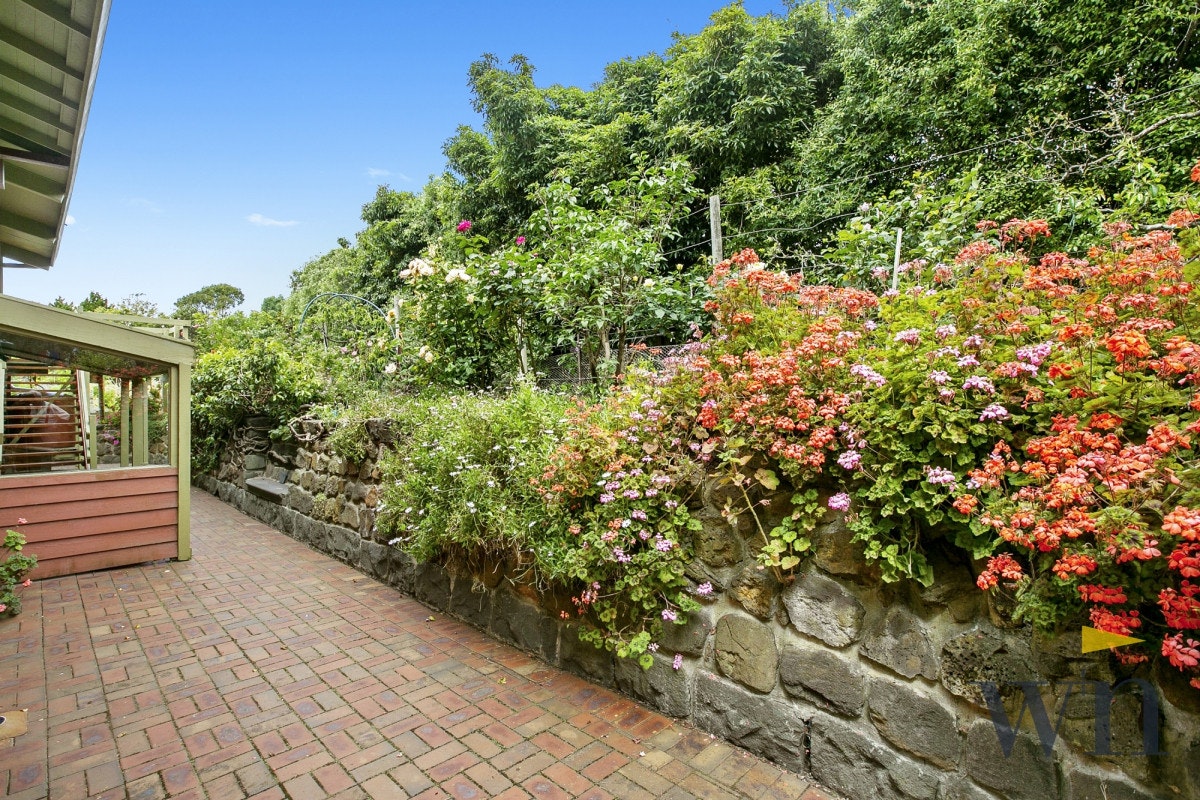Image of path