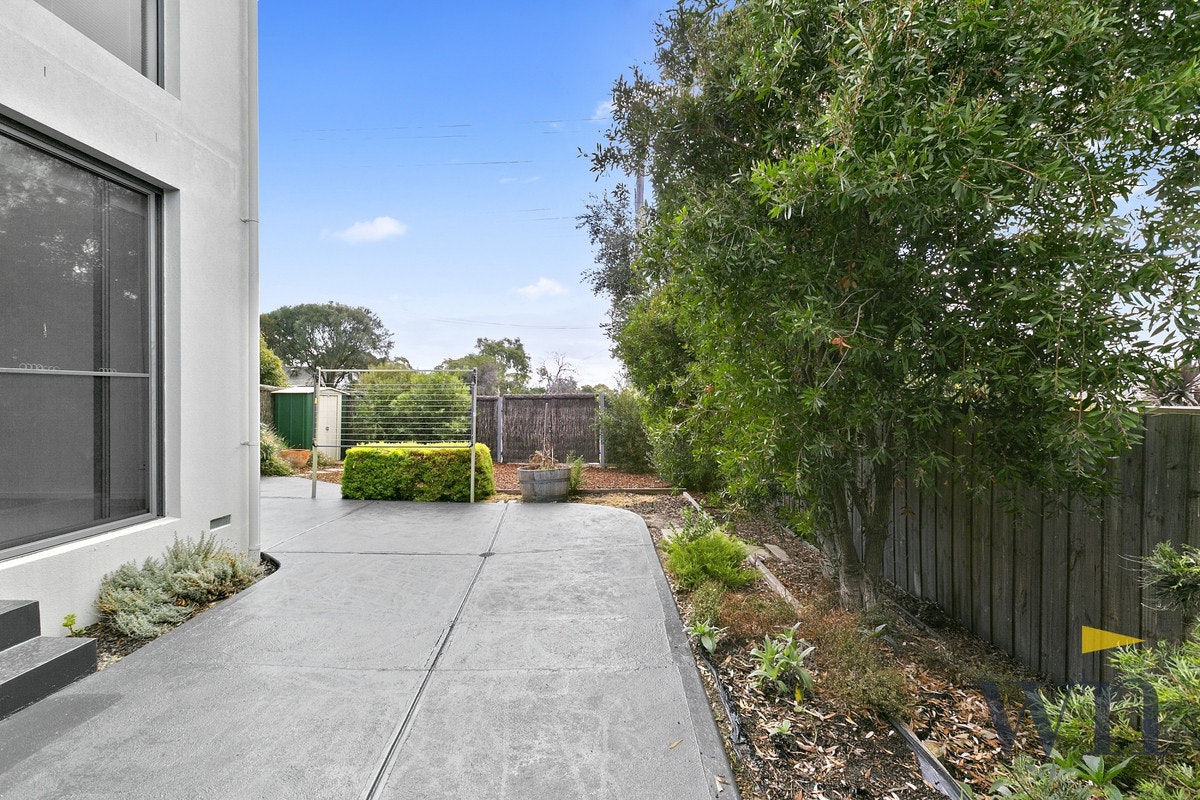 Image of backyard