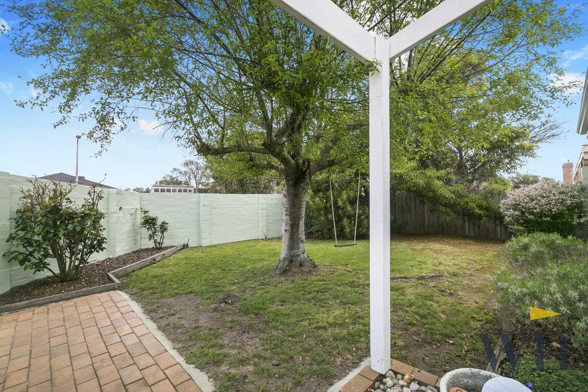 Image of backyard