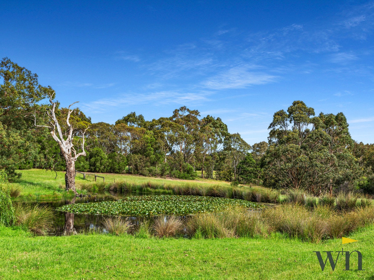 Image of land