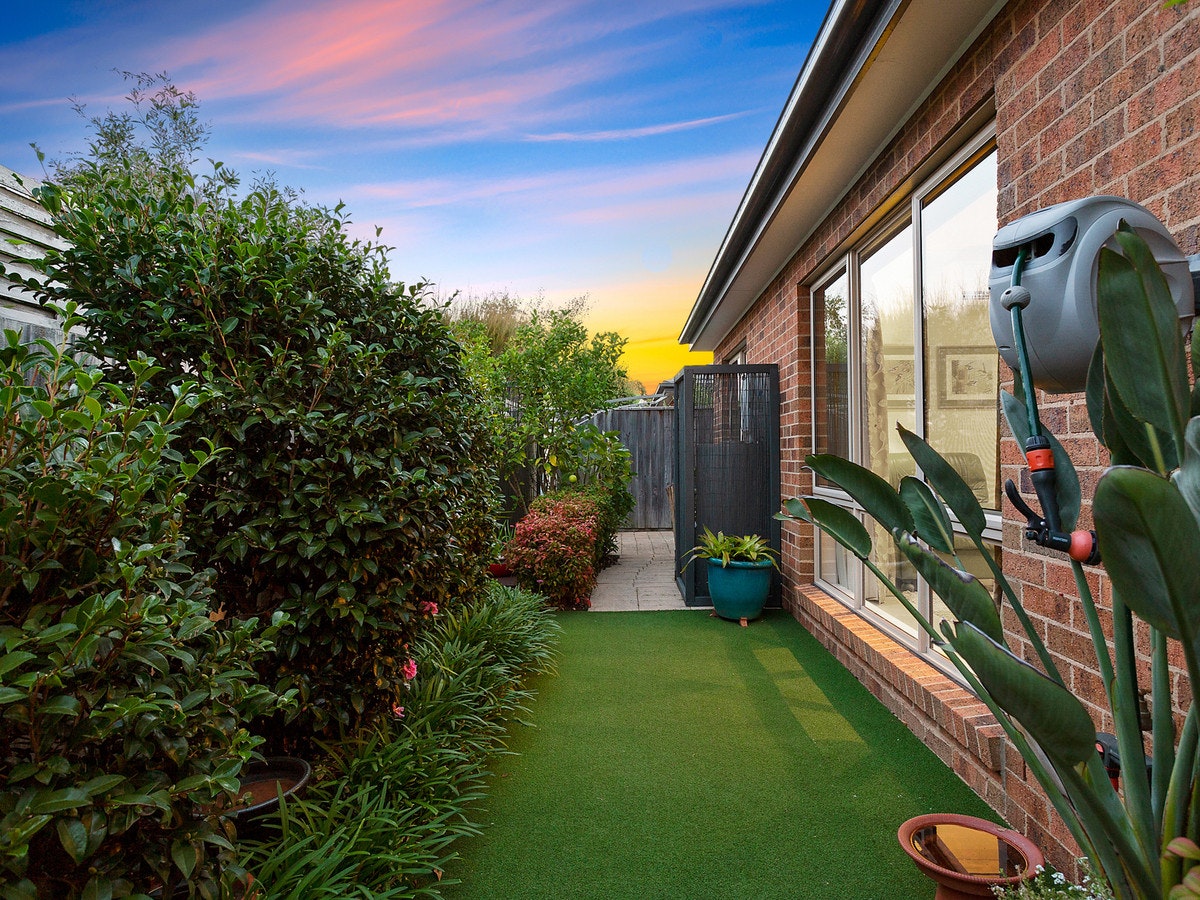 Image of backyard