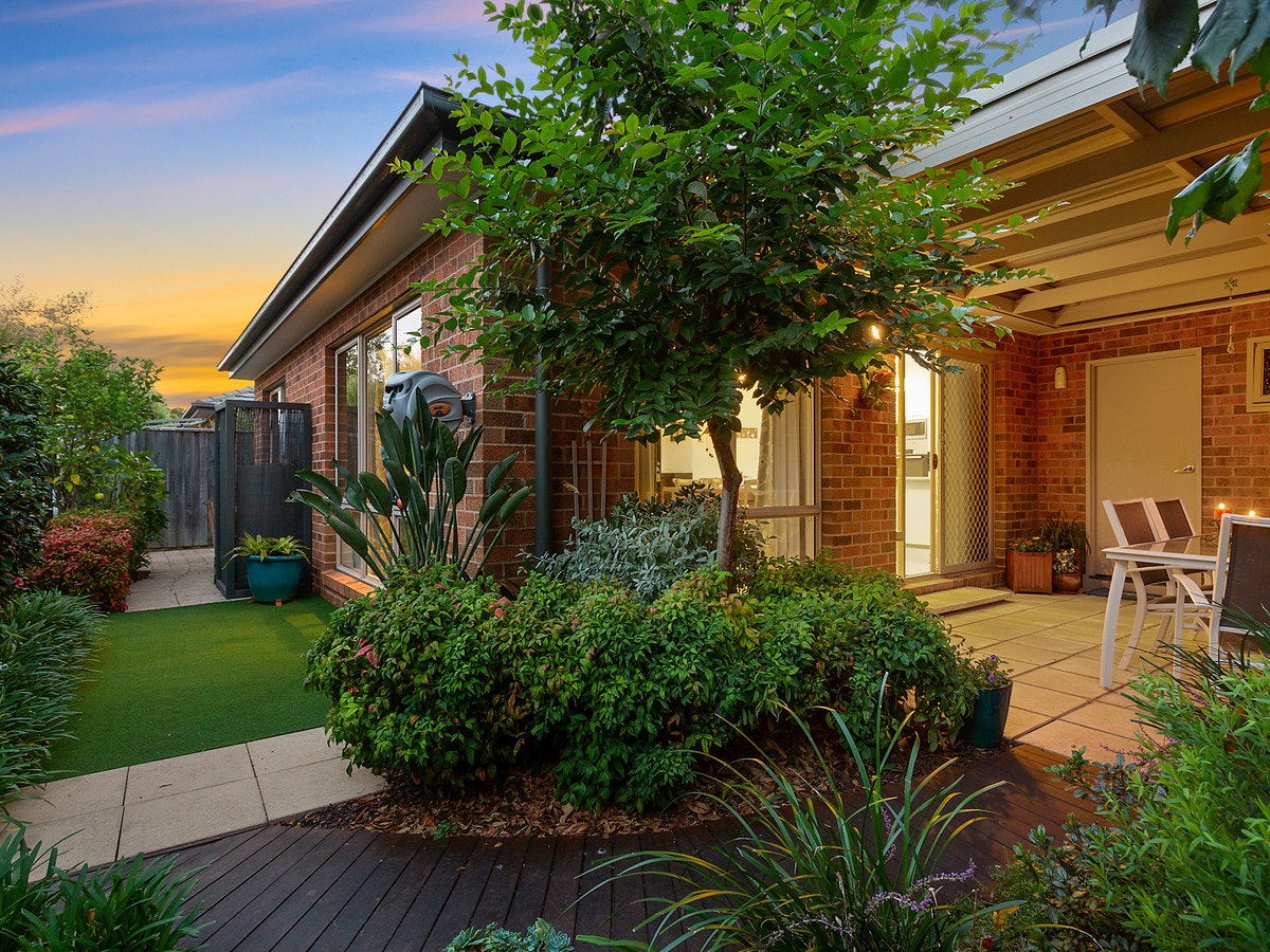 Image of backyard