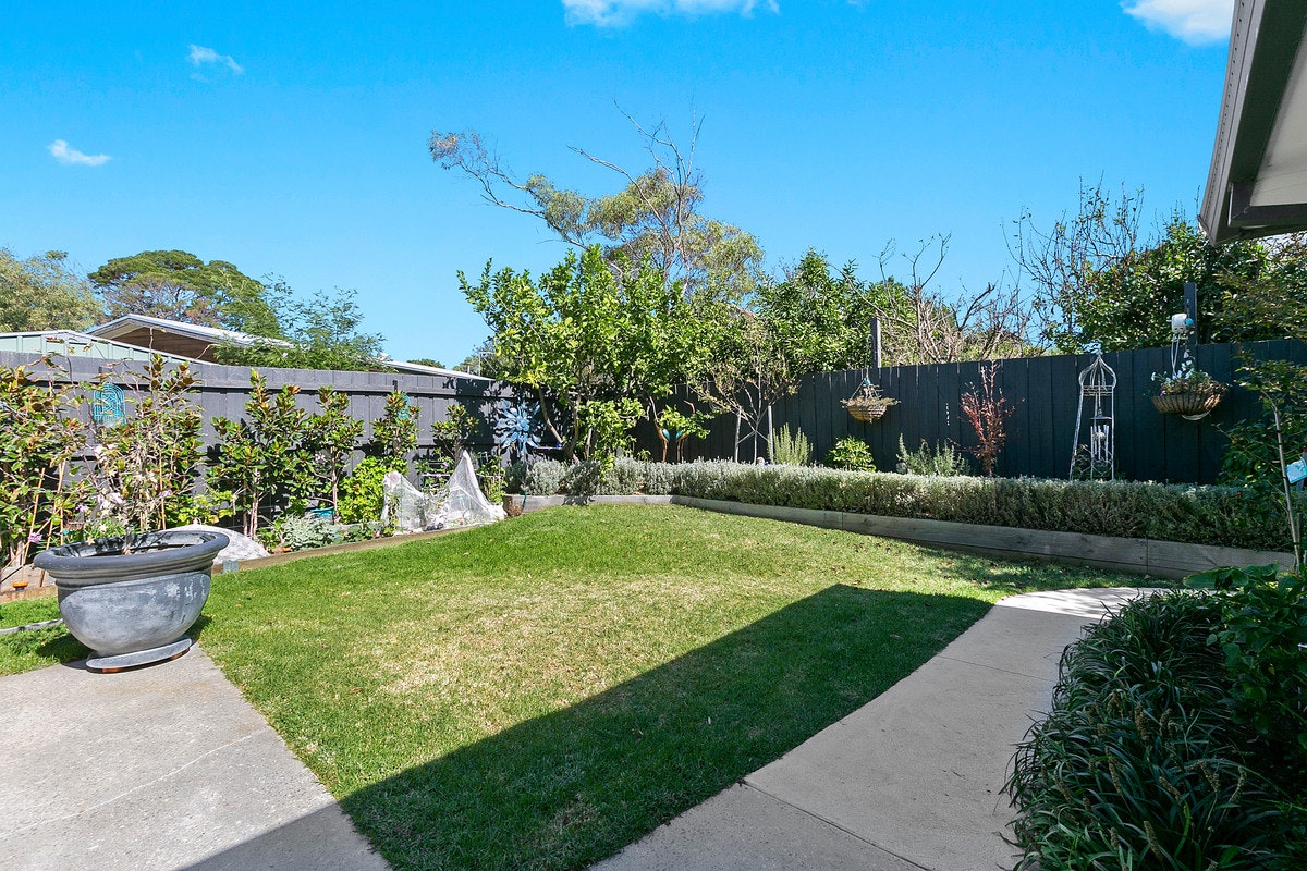 Image of backyard