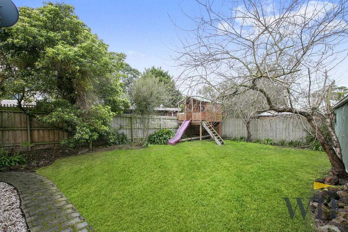 Image of backyard