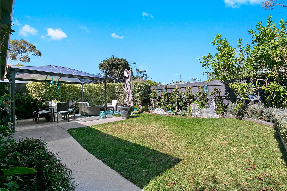 Image of backyard