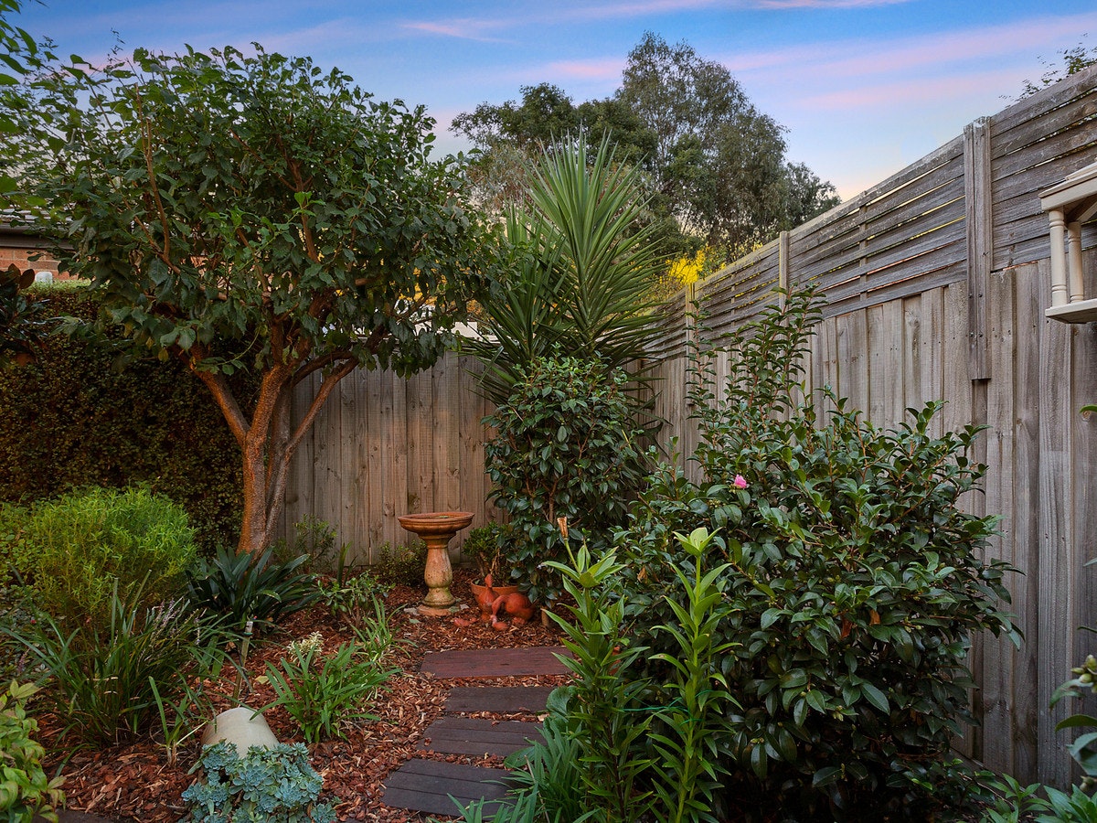 Image of backyard