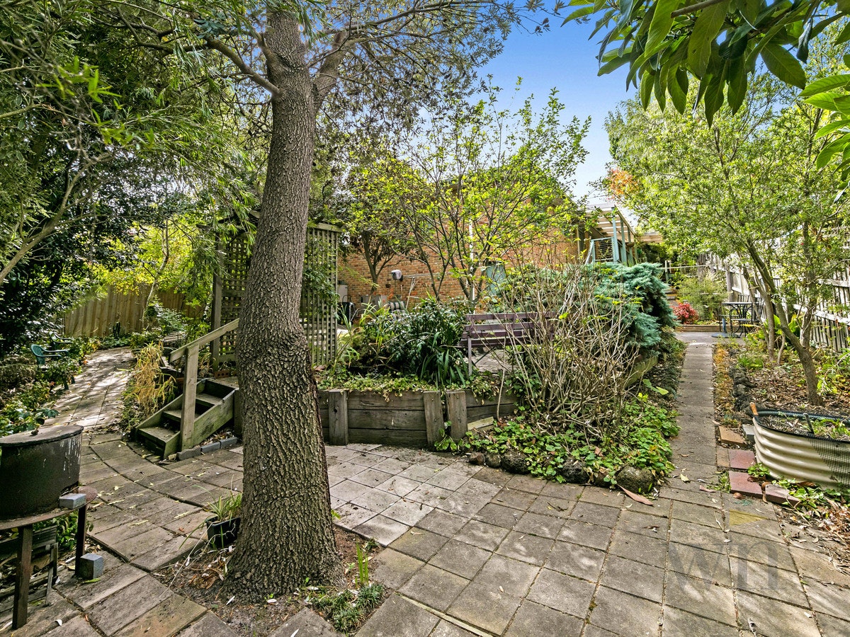 Image of path