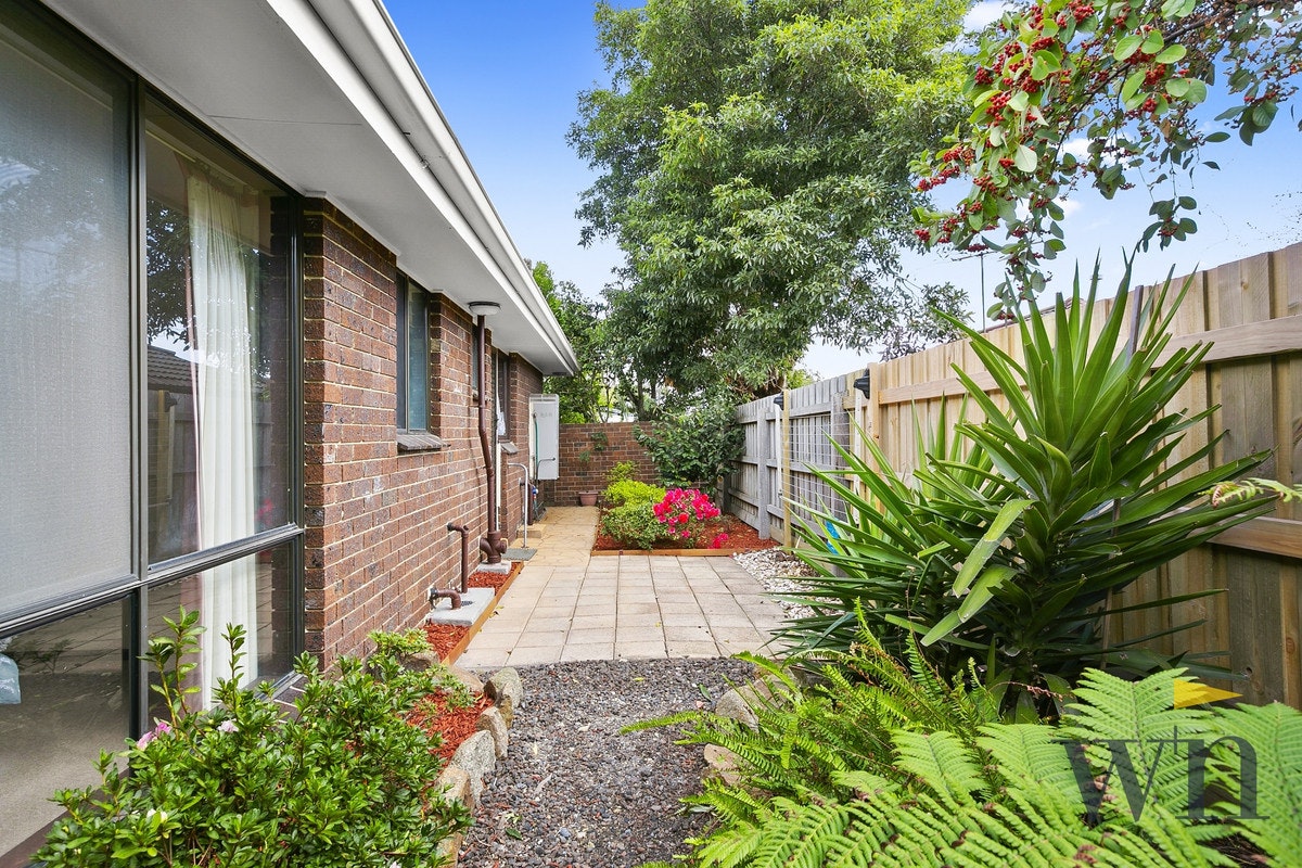 Image of backyard