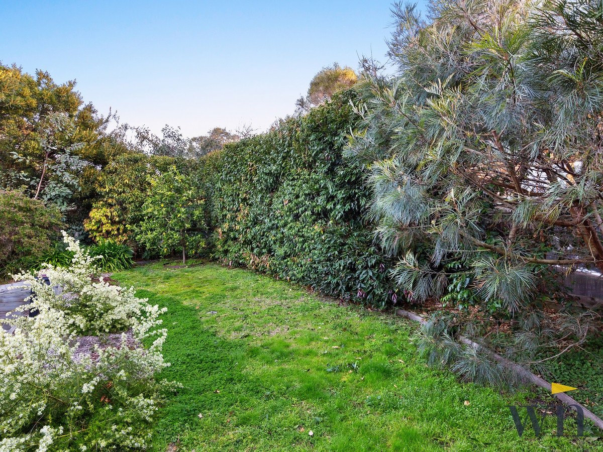 Image of garden
