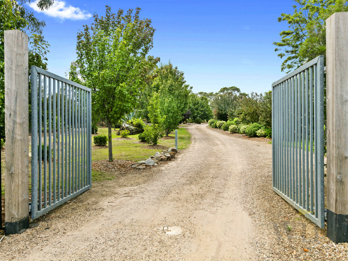 250 Bungower Road, Mornington - Thumbnail 2