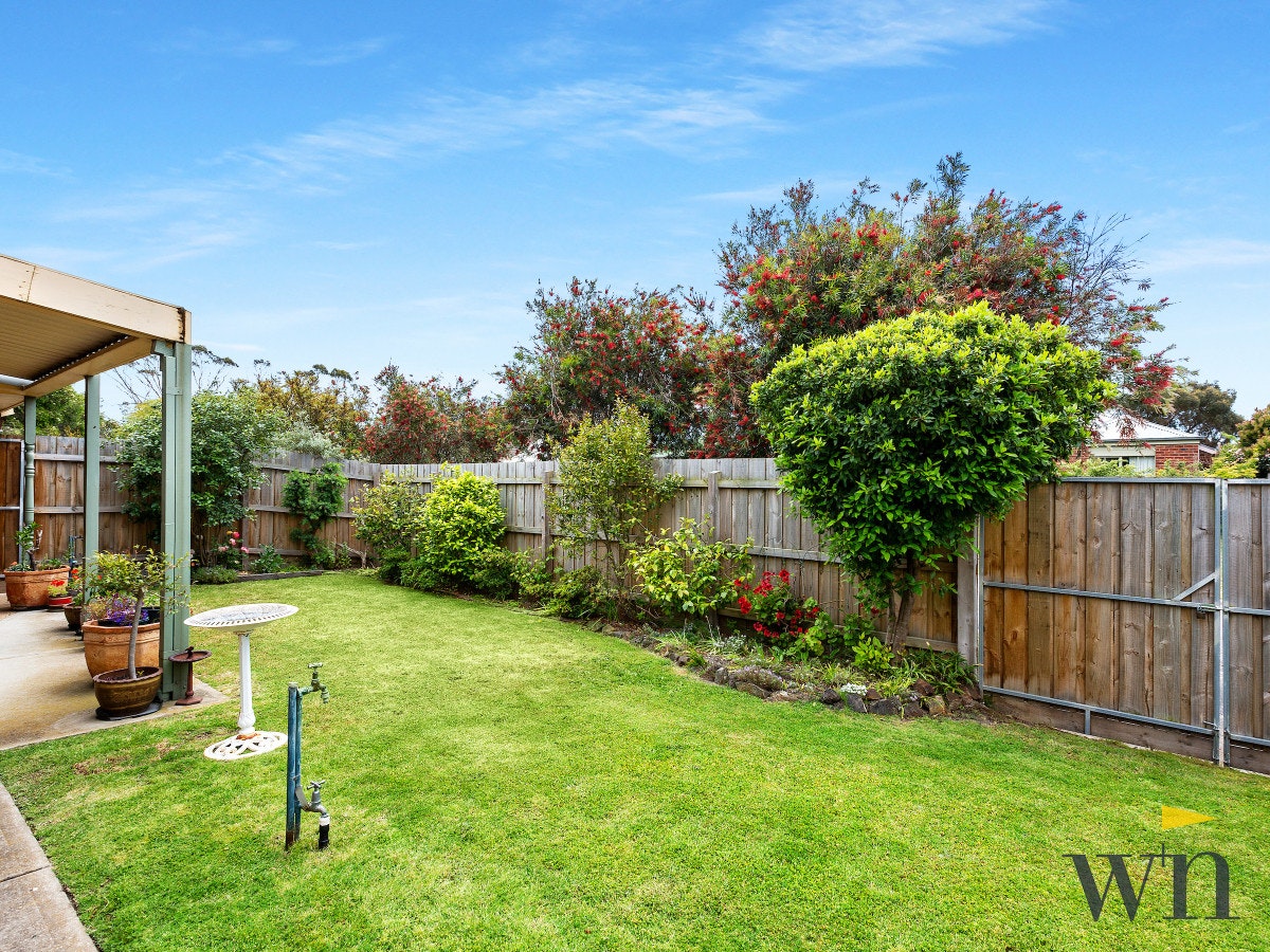 Image of backyard