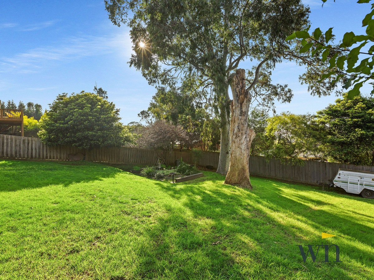Image of grass