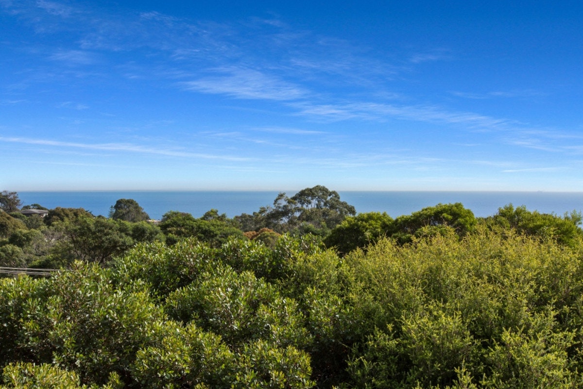 Image of vegetation