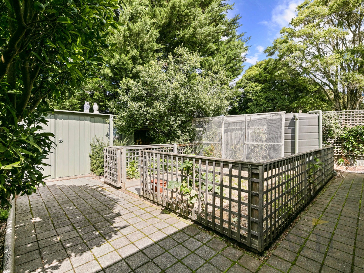 Image of garden